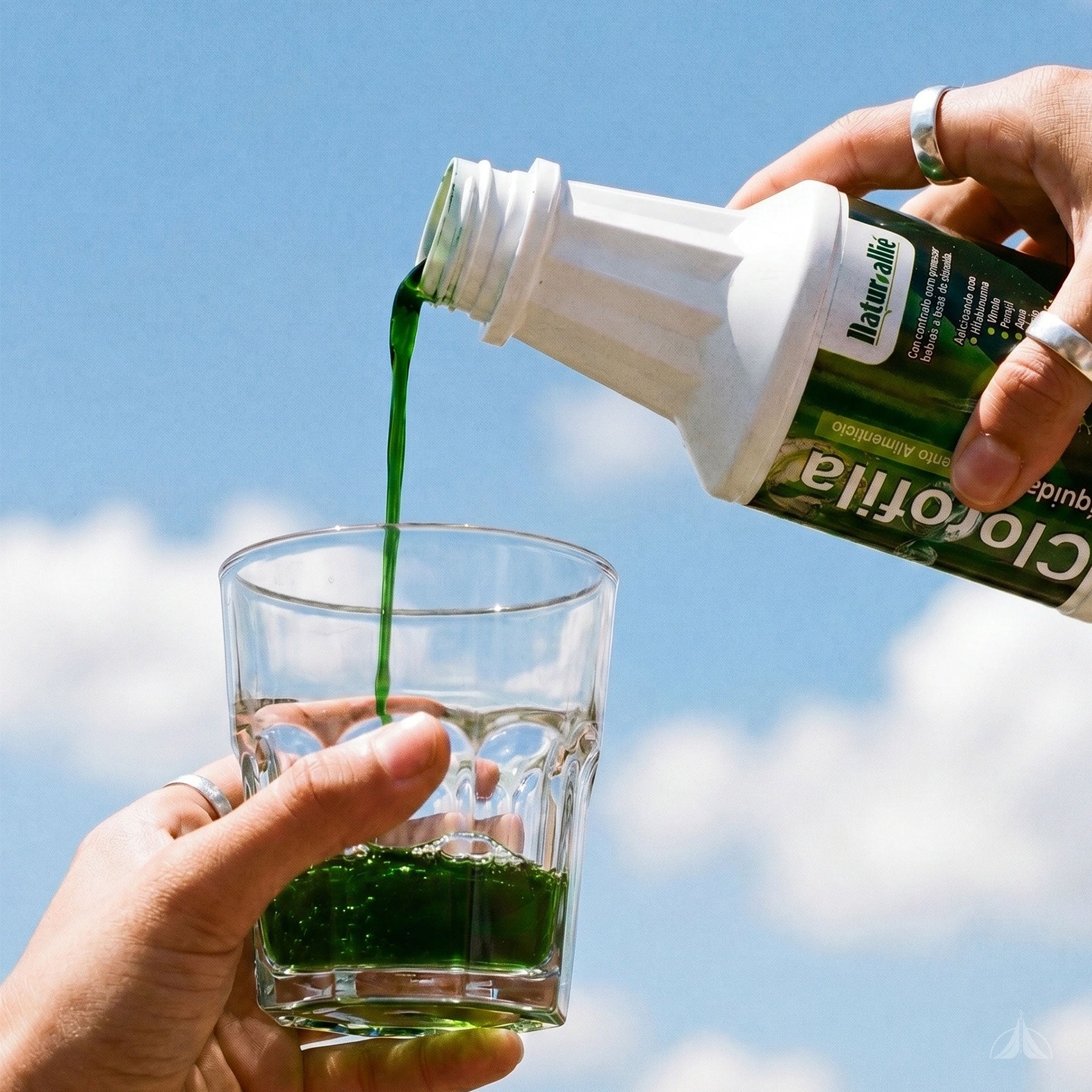 Clorofila Líquida Natur-Allié 500 ml