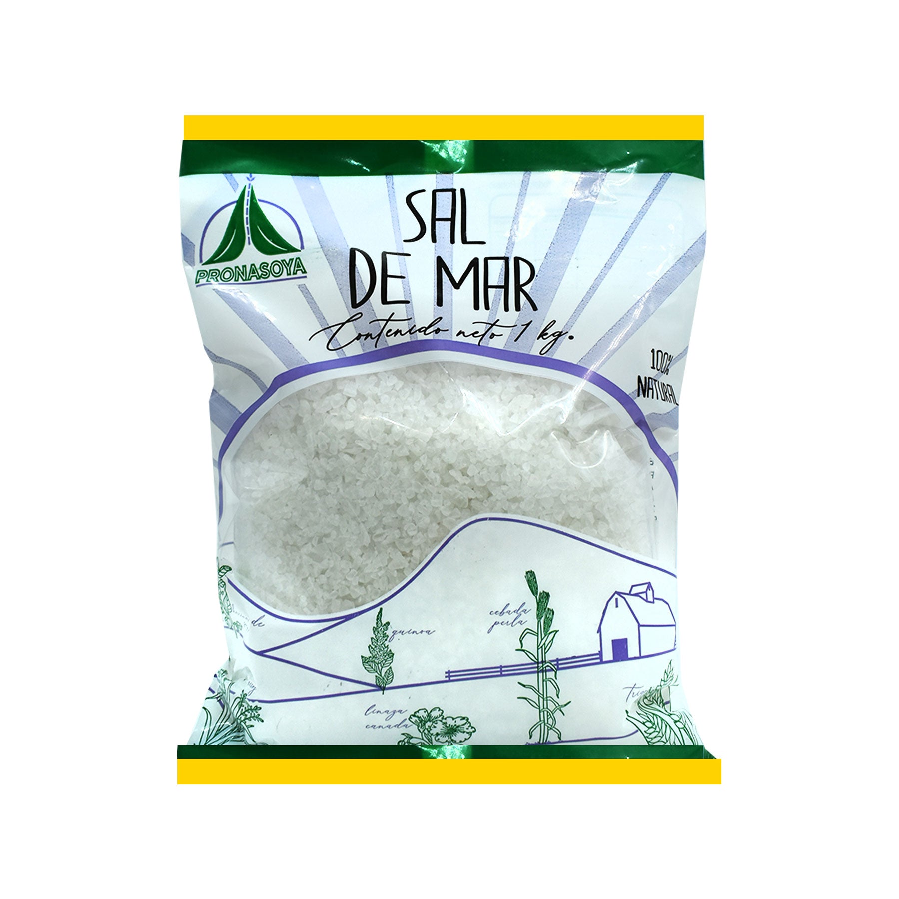 Sal de Mar PRONASOYA 1 kg